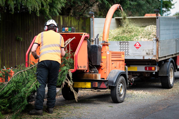 Best Arborist Consultation Services  in Crescent City, FL