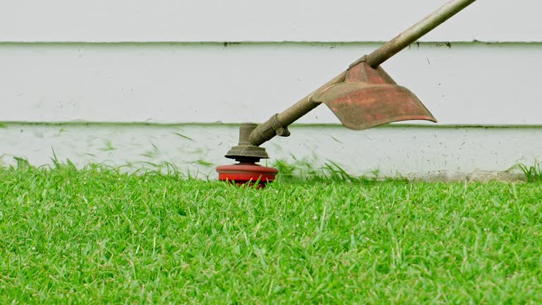 Best Lawn Renovation and Restoration  in Crescent City, FL