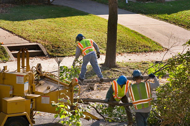 Best Lawn Watering Services  in Crescent City, FL