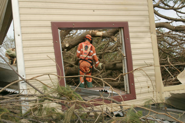 Best Hazardous Tree Removal  in Crescent City, FL