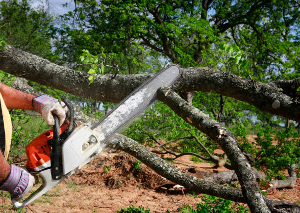 Lawn Drainage Solutions in Crescent City, FL